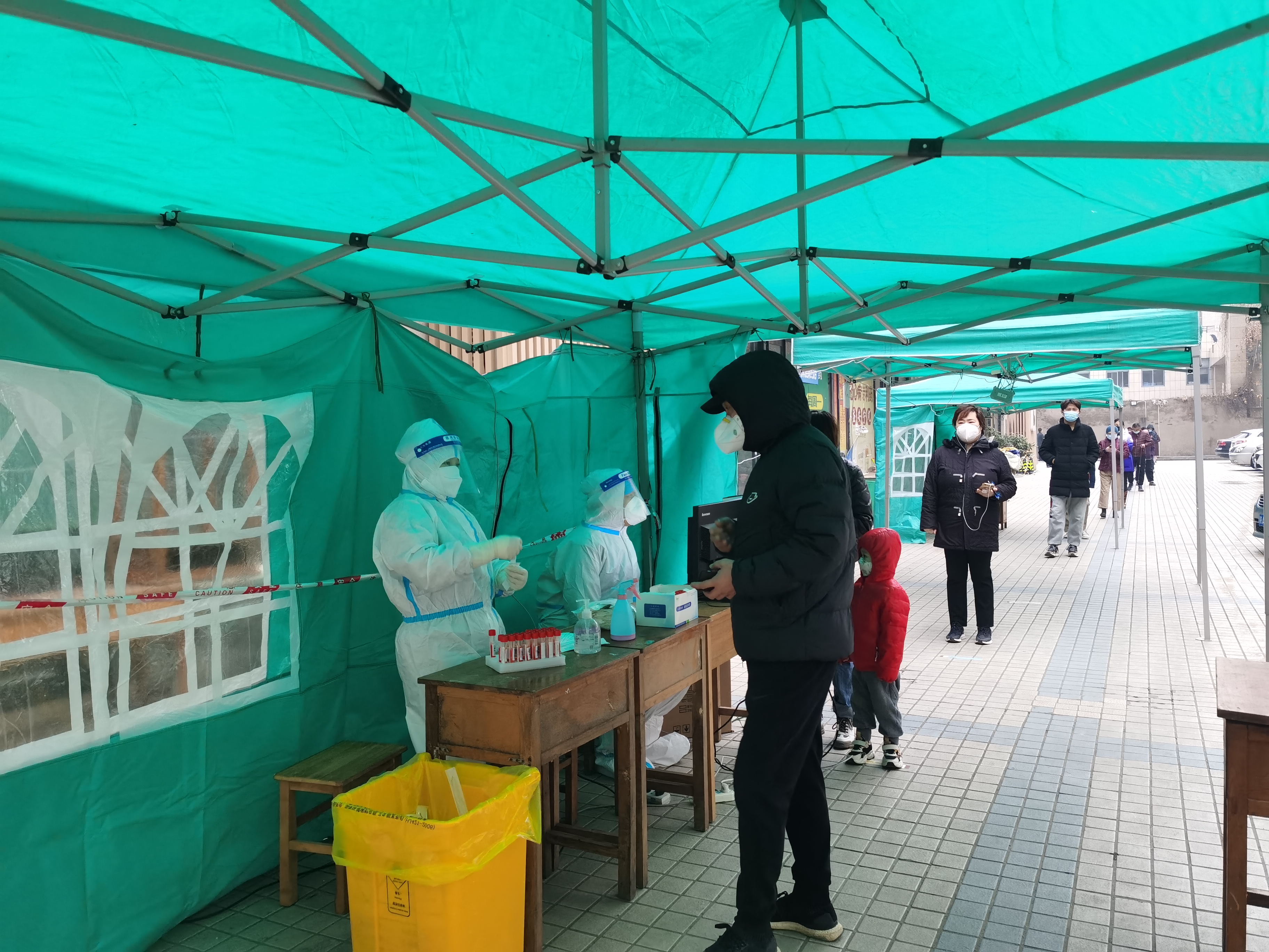 马2.jpg
