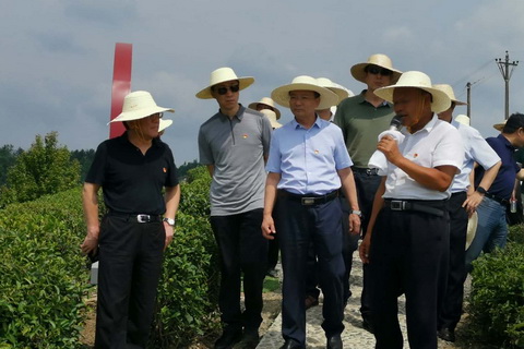 1594635126455052510.jpg 微信图片_20200713181239.jpg