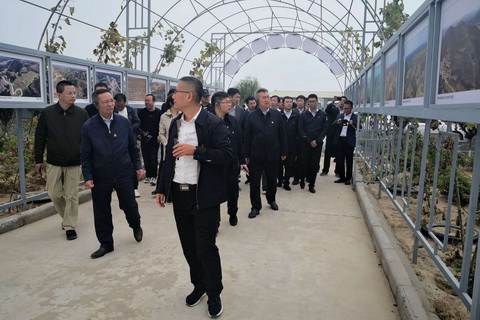 1601261369123076423.jpg 2.jpg