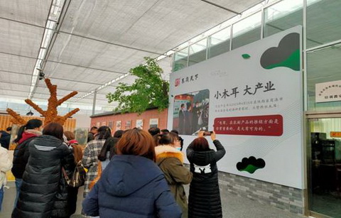 1608857122979064894.jpg 2.jpg