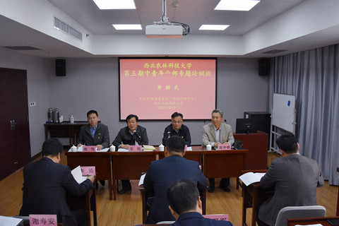 1617846235124009458.jpg DSC_6534_副本_副本.jpg