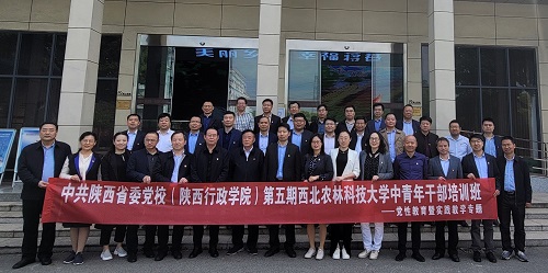 上网2.jpg